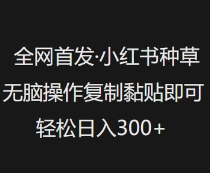 全网首发，小红书种草无脑操作，复制黏贴即可，轻松日入3张-柚子网创